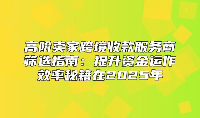 高阶卖家跨境收款服务商筛选指南：提升资金运作效率秘籍在2025年