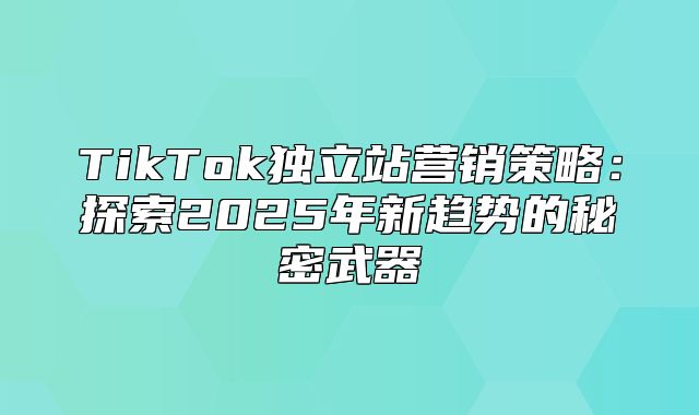TikTok独立站营销策略：探索2025年新趋势的秘密武器