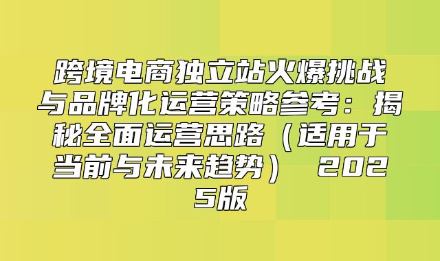 跨境电商独立站火爆挑战与品牌化运营策略参考：揭秘全面运营思路适用于当前与未来趋势 2025版