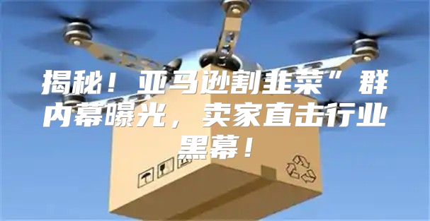 揭秘！亚马逊割韭菜”群内幕曝光，卖家直击行业黑幕！