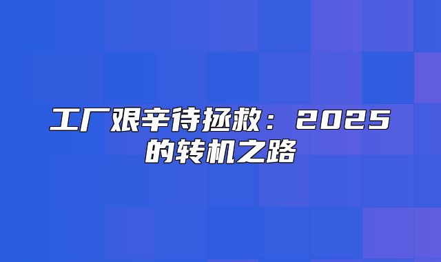 工厂艰辛待拯救：2025的转机之路