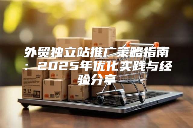 外贸独立站推广策略指南：2025年优化实践与经验分享