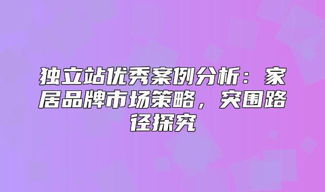 独立站优秀案例分析：家居品牌市场策略，突围路径探究