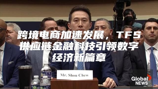 跨境电商加速发展，TFS供应链金融科技引领数字经济新篇章