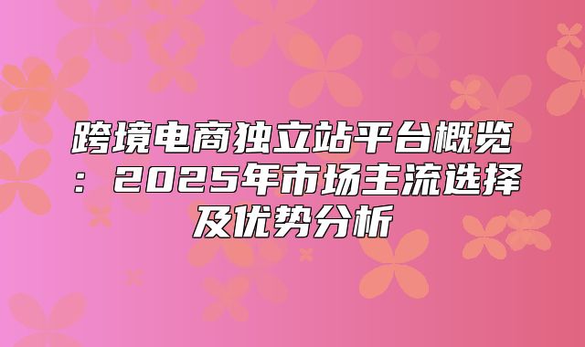 跨境电商独立站平台概览：2025年市场主流选择及优势分析