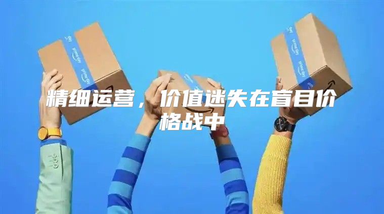 精细运营，价值迷失在盲目价格战中
