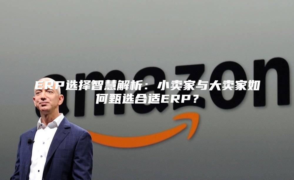 ERP选择智慧解析：小卖家与大卖家如何甄选合适ERP？