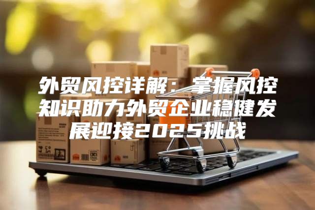 外贸风控详解：掌握风控知识助力外贸企业稳健发展迎接2025挑战