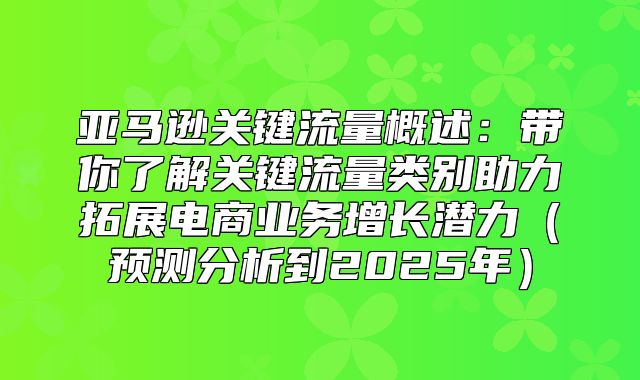 亚马逊关键流量概述：带你了解关键流量类别助力拓展电商业务增长潜力预测分析到2025年