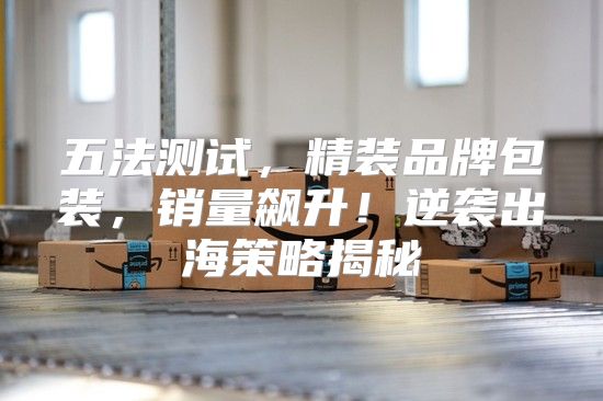 五法测试，精装品牌包装，销量飙升！逆袭出海策略揭秘