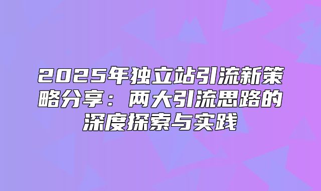 2025年独立站引流新策略分享：两大引流思路的深度探索与实践