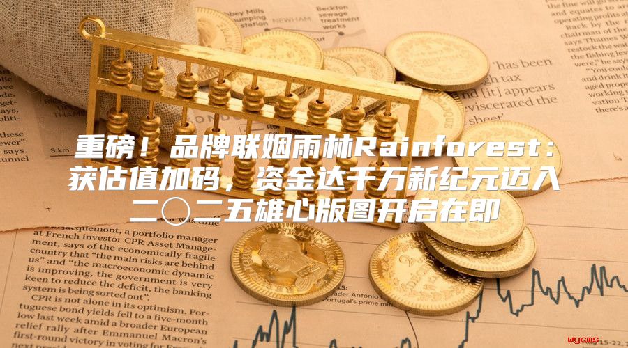 重磅！品牌联姻雨林Rainforest：获估值加码，资金达千万新纪元迈入二〇二五雄心版图开启在即