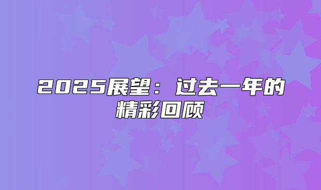 2025展望：过去一年的精彩回顾