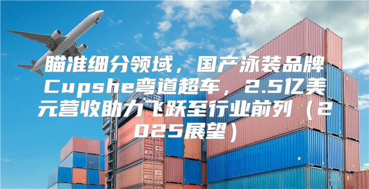 瞄准细分领域，国产泳装品牌Cupshe弯道超车，2.5亿美元营收助力飞跃至行业前列2025展望
