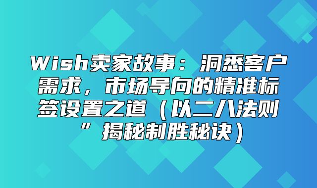 Wish卖家故事：洞悉客户需求，市场导向的精准标签设置之道以二八法则”揭秘制胜秘诀