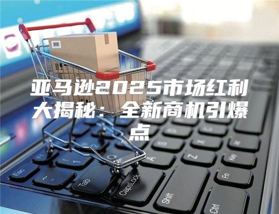 亚马逊2025市场红利大揭秘：全新商机引爆点