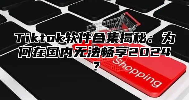 Tiktok软件合集揭秘：为何在国内无法畅享2025？