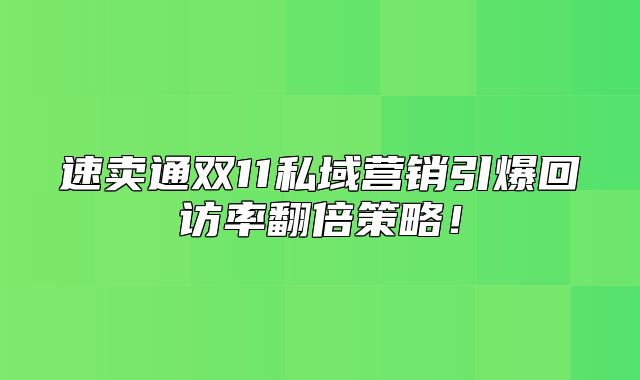 速卖通双11私域营销引爆回访率翻倍策略！