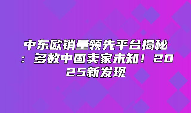 中东欧销量领先平台揭秘：多数中国卖家未知！2025新发现