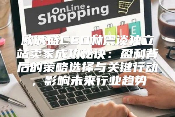 欧诚盛CEO林震谈独立站卖家成功秘诀：盈利背后的策略选择与关键行动，影响未来行业趋势