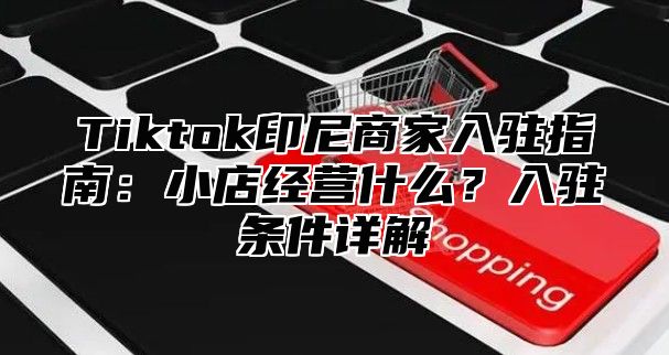 Tiktok印尼商家入驻指南：小店经营什么？入驻条件详解