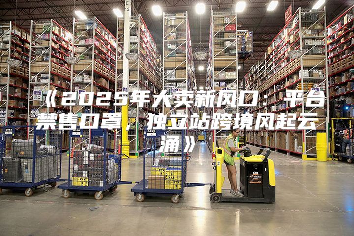 2025年大卖新风口：平台禁售口罩，独立站跨境风起云涌