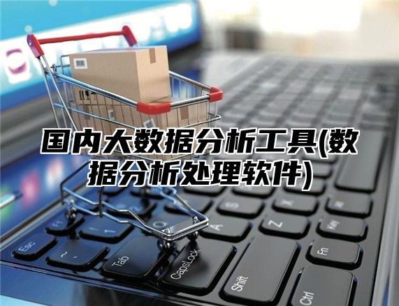 国内大数据分析工具(数据分析处理软件)