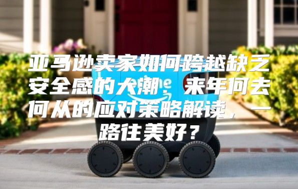 亚马逊卖家如何跨越缺乏安全感的大潮：来年何去何从的应对策略解读，一路往美好？