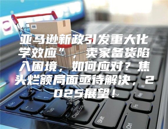 亚马逊新政引发重大化学效应”，卖家备货陷入困境，如何应对？焦头烂额局面亟待解决，2025展望！