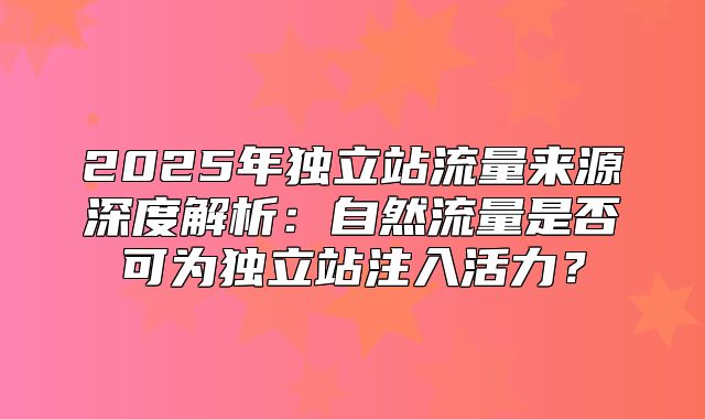 2025年独立站流量来源深度解析：自然流量是否可为独立站注入活力？