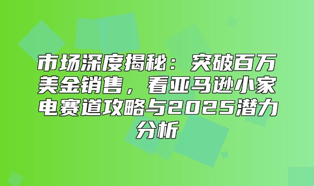 市场深度揭秘：突破百万美金销售，看亚马逊小家电赛道攻略与2025潜力分析