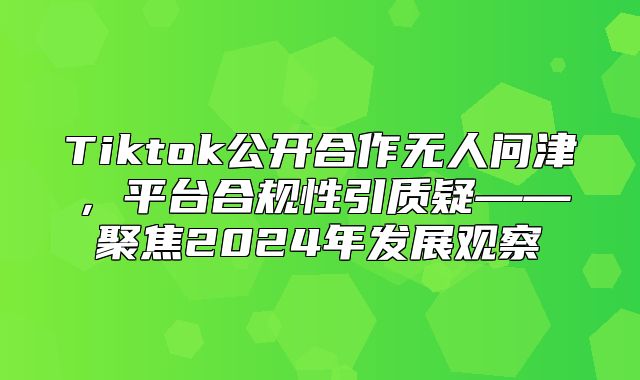Tiktok公开合作无人问津，平台合规性引质疑——聚焦2025年发展观察