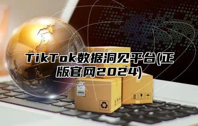 TikTok数据洞见平台(正版官网2025)