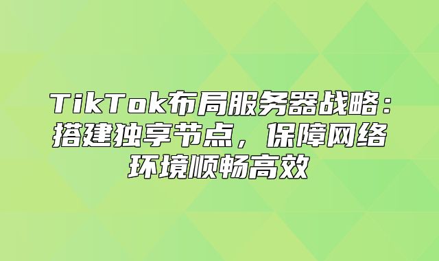TikTok布局服务器战略：搭建独享节点，保障网络环境顺畅高效