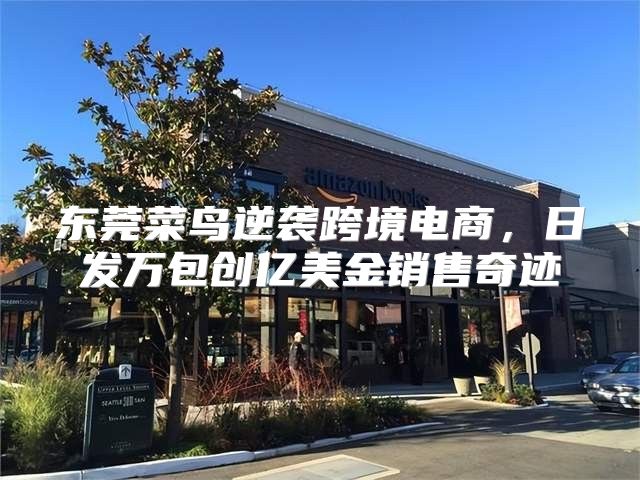 东莞菜鸟逆袭跨境电商，日发万包创亿美金销售奇迹