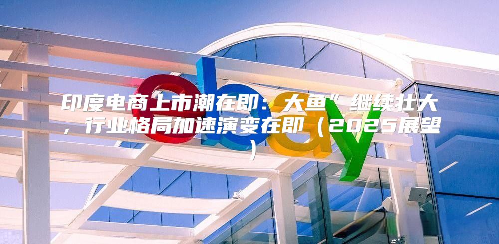 印度电商上市潮在即：大鱼”继续壮大，行业格局加速演变在即2025展望