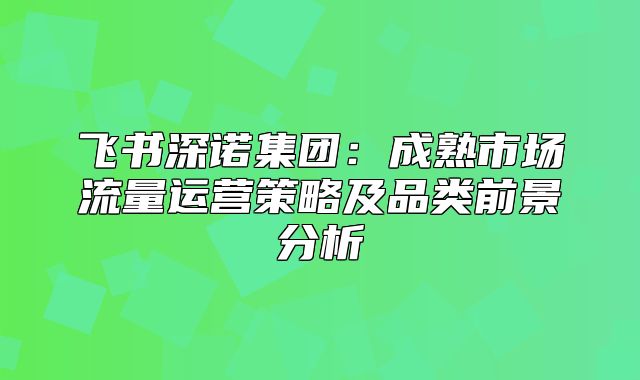 飞书深诺集团：成熟市场流量运营策略及品类前景分析