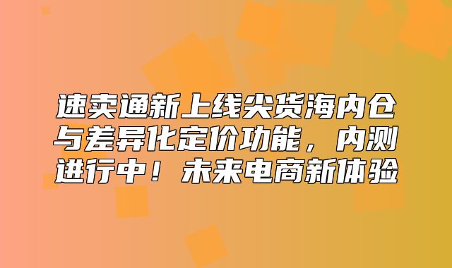 速卖通新上线尖货海内仓与差异化定价功能，内测进行中！未来电商新体验