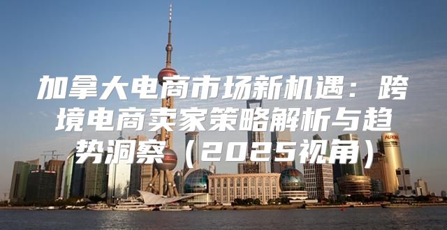 加拿大电商市场新机遇：跨境电商卖家策略解析与趋势洞察2025视角