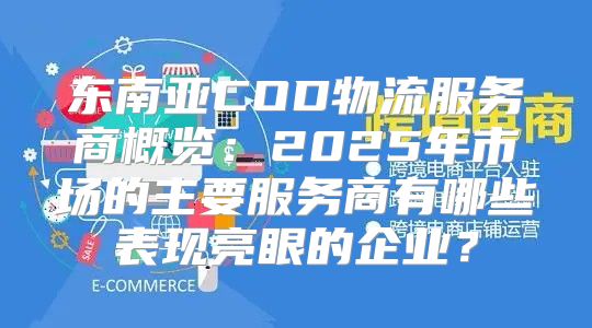 东南亚COD物流服务商概览：2025年市场的主要服务商有哪些表现亮眼的企业？