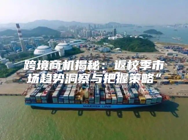跨境商机揭秘：返校季市场趋势洞察与把握策略”