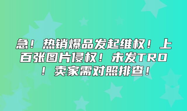 急！热销爆品发起维权！上百张图片侵权！未发TRO！卖家需对照排查！