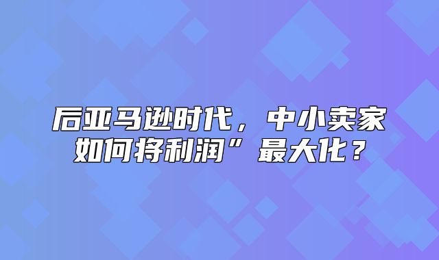 后亚马逊时代，中小卖家如何将利润”最大化？