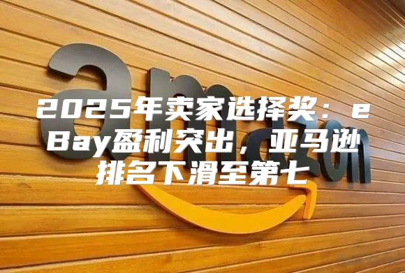 2025年卖家选择奖：eBay盈利突出，亚马逊排名下滑至第七