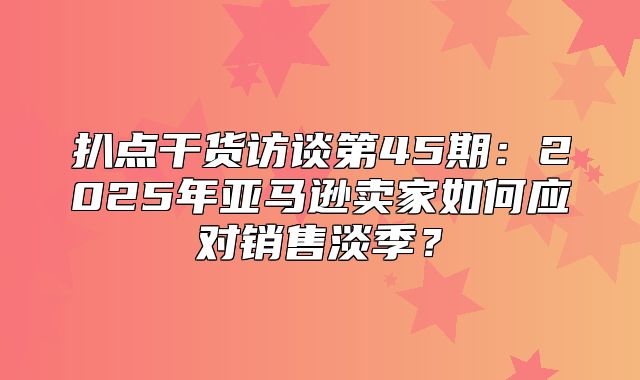 扒点干货访谈第45期：2025年亚马逊卖家如何应对销售淡季？
