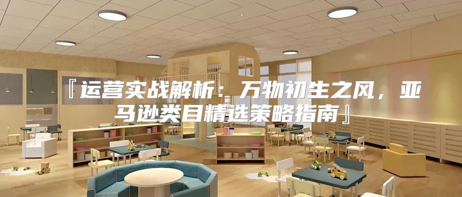 『运营实战解析：万物初生之风，亚马逊类目精选策略指南』