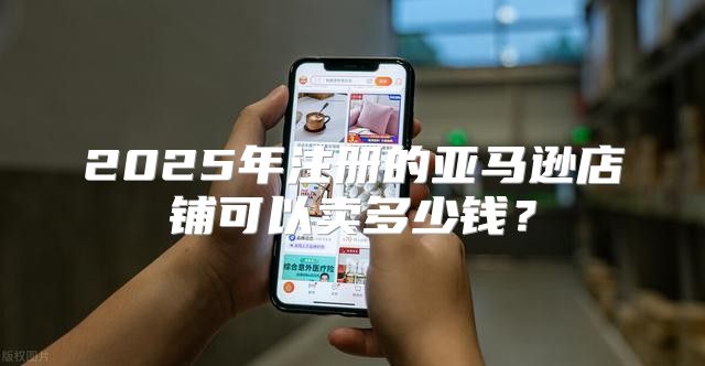 2025年注册的亚马逊店铺可以卖多少钱？