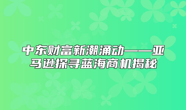中东财富新潮涌动——亚马逊探寻蓝海商机揭秘