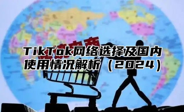 TikTok网络选择及国内使用情况解析2025