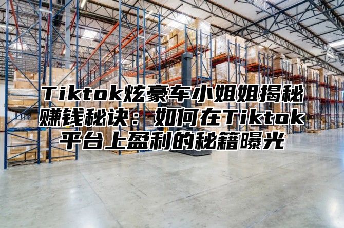 Tiktok炫豪车小姐姐揭秘赚钱秘诀：如何在Tiktok平台上盈利的秘籍曝光